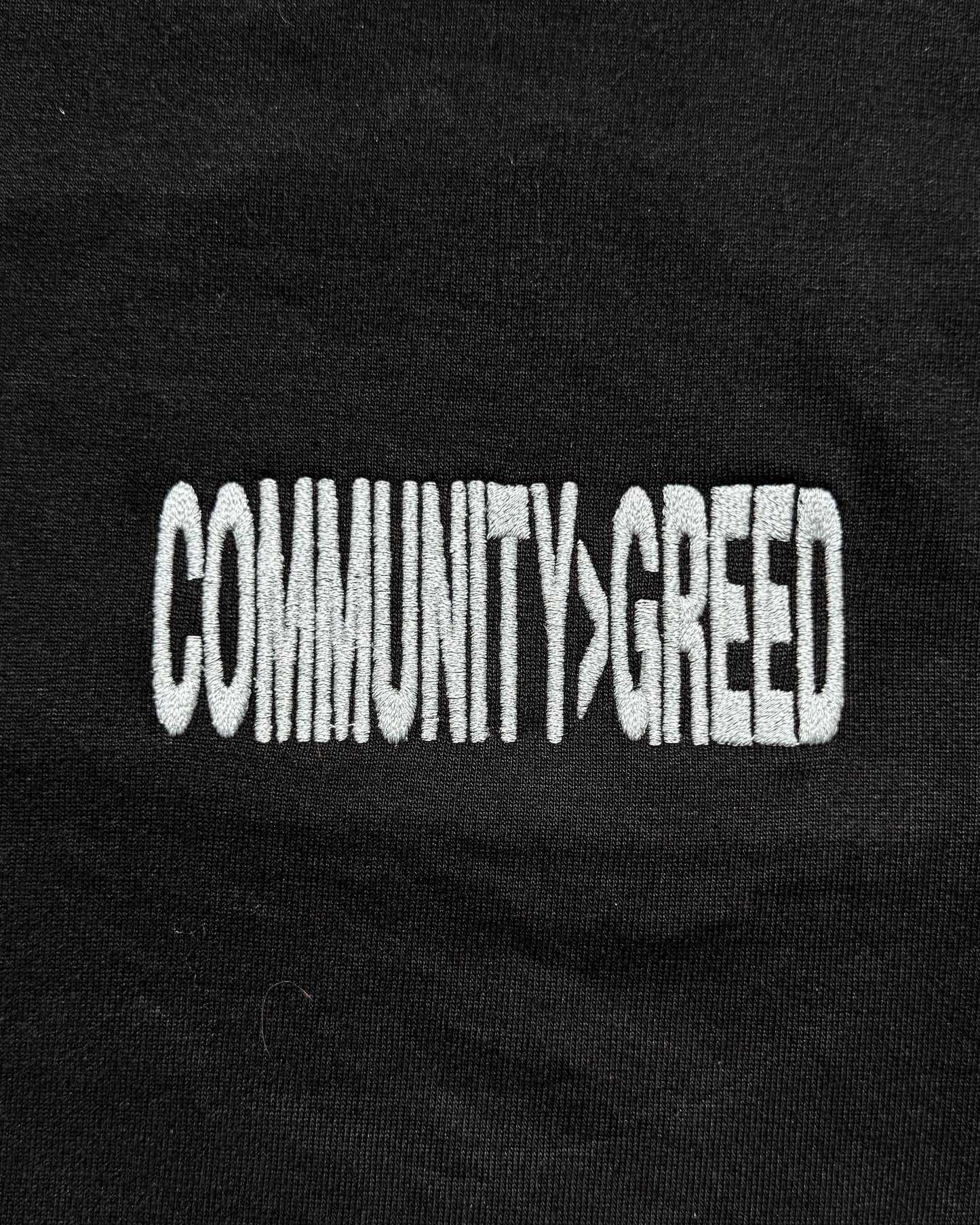 C>G REFLECTIVE T